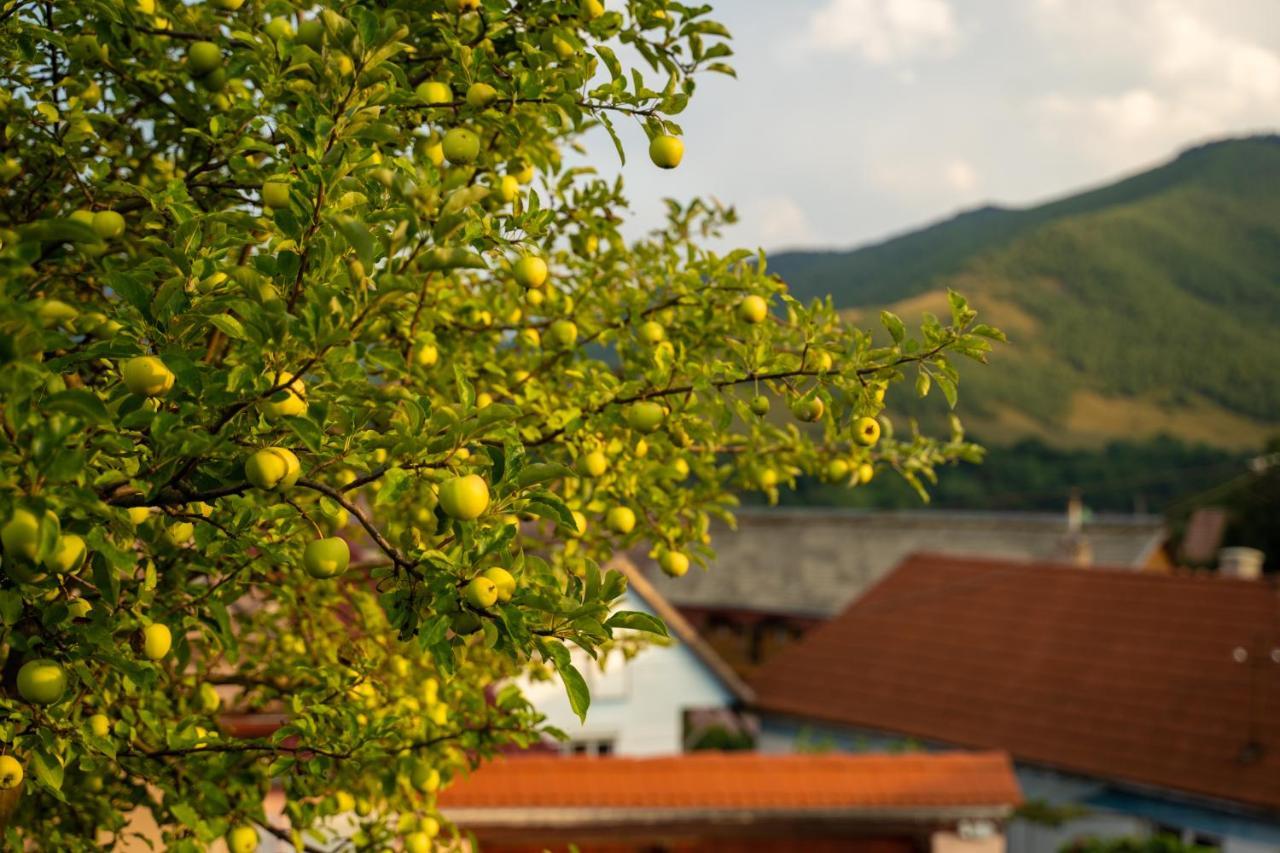 Apartament Panoramic La Casa In Comuna เรอชินาริ ภายนอก รูปภาพ