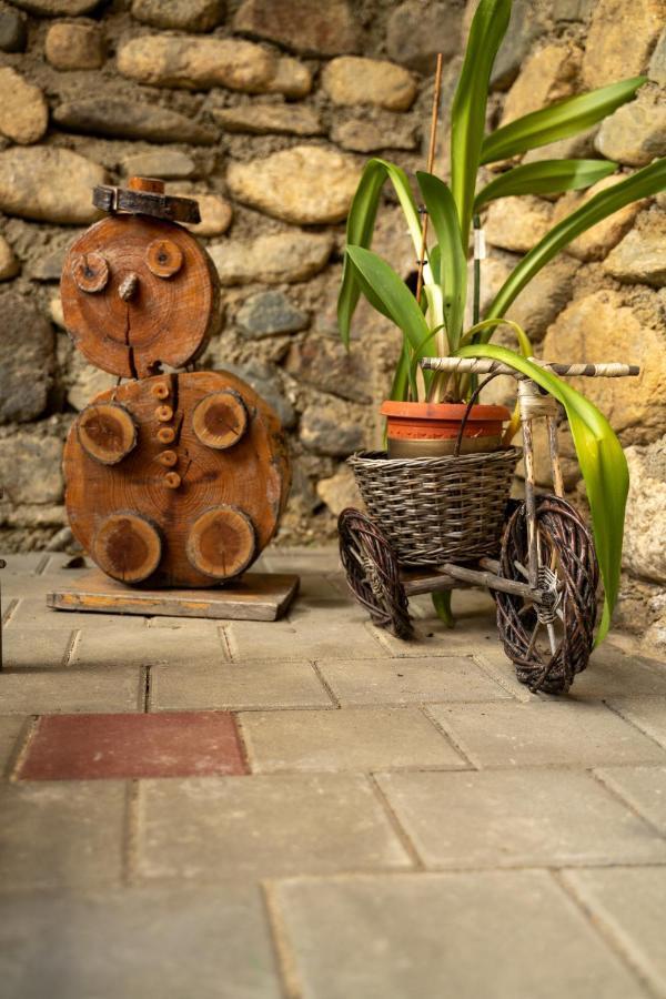 Apartament Panoramic La Casa In Comuna เรอชินาริ ภายนอก รูปภาพ