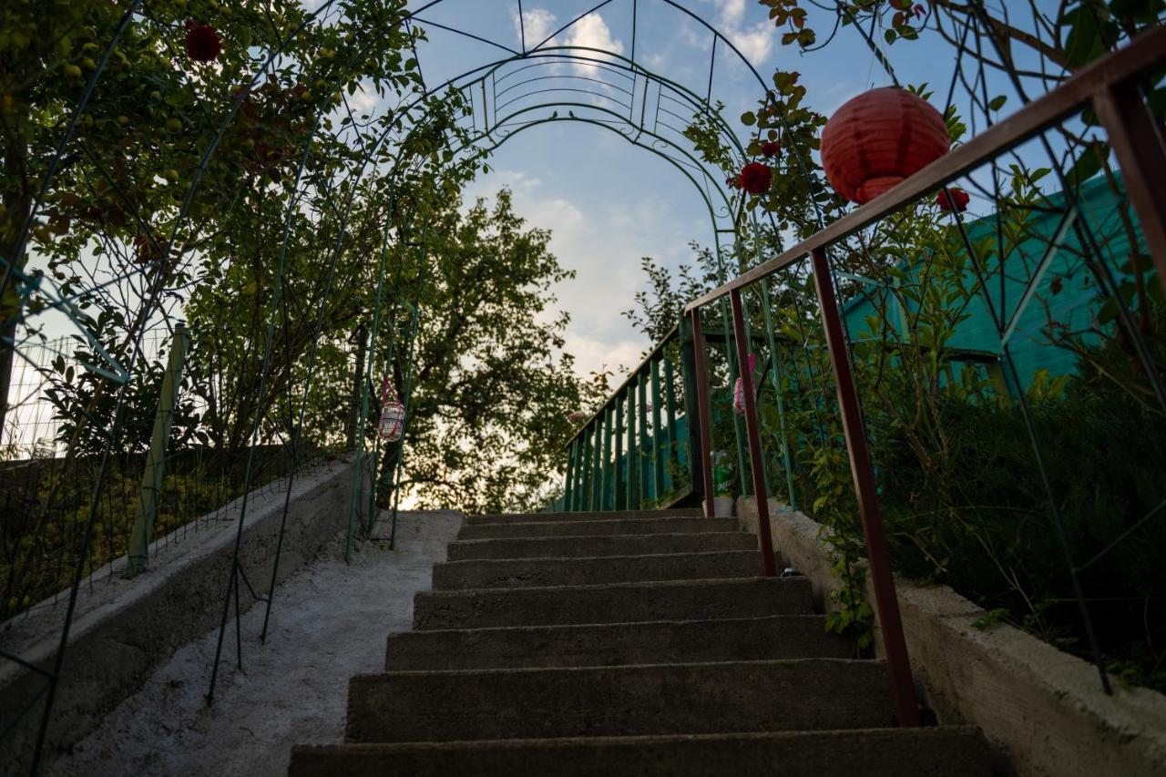 Apartament Panoramic La Casa In Comuna เรอชินาริ ภายนอก รูปภาพ